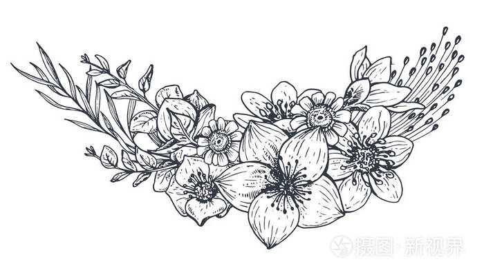 花组成.与束手绘制的花卉和植物