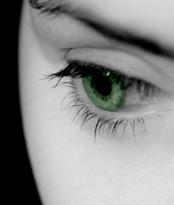 一只绿色的眼睛图片