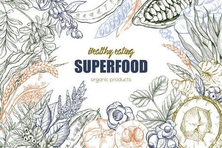 超级食物 写实素描框架设计