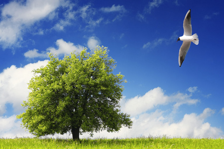 美丽环境图片-美丽环境素材-美丽环境插画-摄图新视界