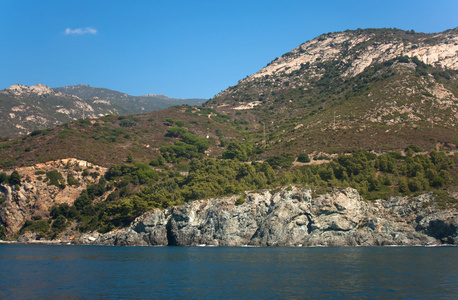 野生海岸