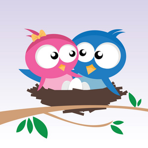 爱鸟2鸟孩子们,天空中的小鸟.