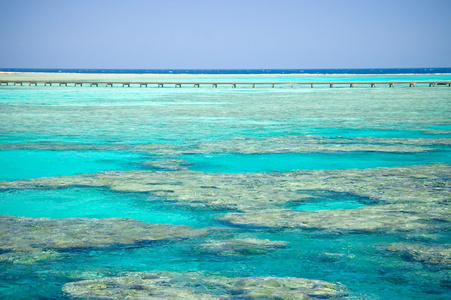 珊瑚海岸的红海