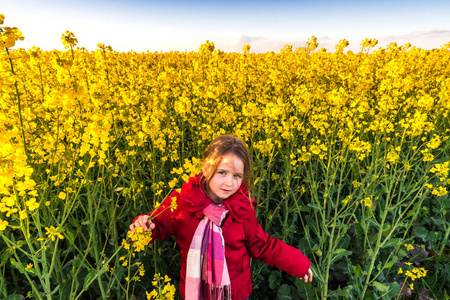 可爱的小 gpreschooler 女孩黄荠领域