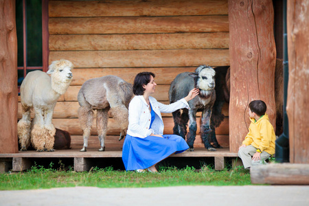 年轻女子和她的儿子玩婴儿羊驼