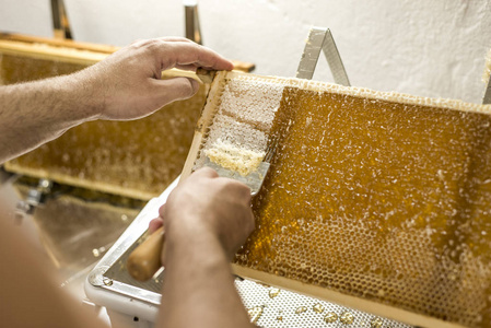 蜂窝打开 unwaxing 叉养蜂人无上限为收获金色美味的蜂蜜的特写镜头