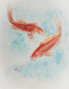 大个红鲤鱼图片-大个红鲤鱼素材-大个红鲤鱼插画-摄图新视界