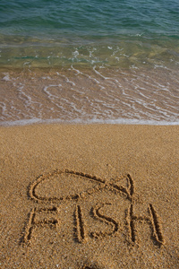 在沙滩上画的鱼的象征