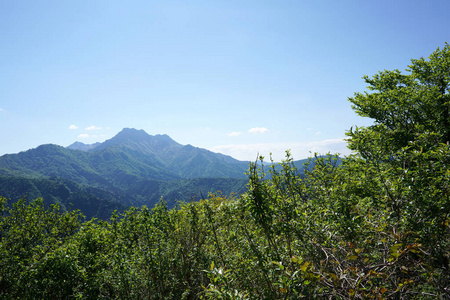 山地景观景区夏天视图