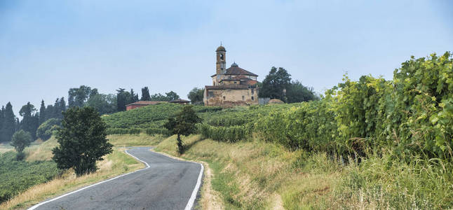 Oltrepo Piacentino 意大利，在夏天的乡村景观