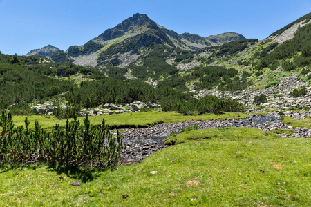 令人惊叹的景观与 Valyavitsa 河和 Valyavishki 鸡峰，皮林山