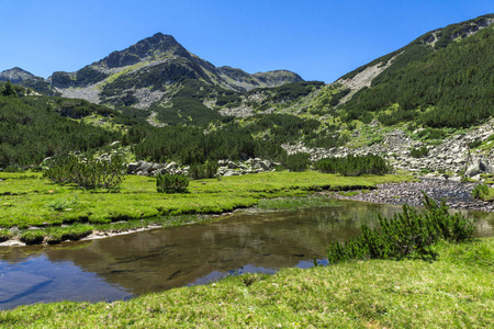 令人惊叹的景观与 Valyavitsa 河和 Valyavishki 鸡峰，皮林山