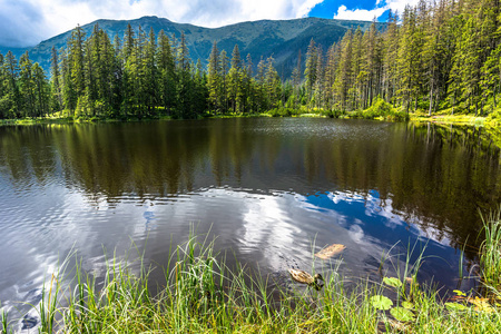 高山湖泊在塔特拉山国家公园在波兰，夏日风景