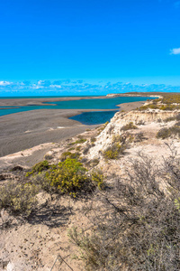 成本的瓦尔德斯半岛，巴塔哥尼亚，阿根廷的景观的海洋