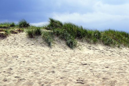沙丘与草地上一个刮风的夏日，反对与云的蓝天 明德海滩上波罗的海，一个受欢迎的度假胜地