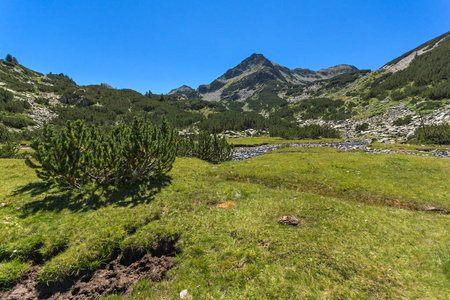 令人惊叹的景观与 Valyavitsa 河和 Valyavishki 鸡峰，皮林山