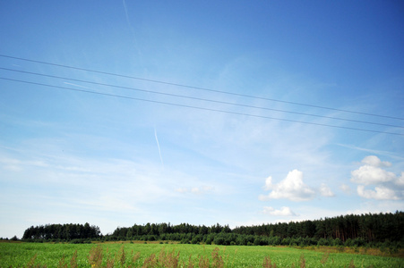 夏季景观