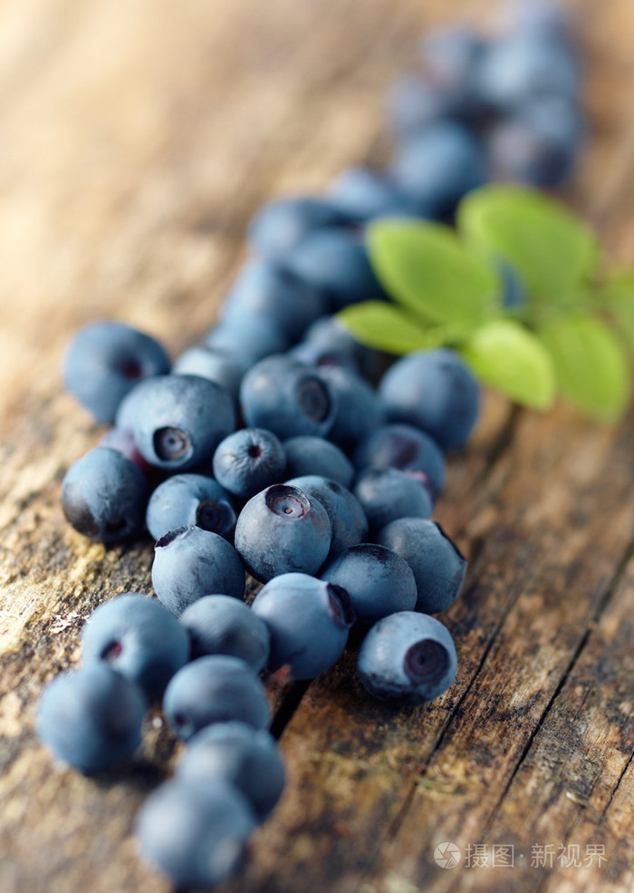 越橘的一种( blueberry的名词复数 )