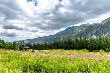 住房山区，农村景观包围在塔特拉山国家公园绿地