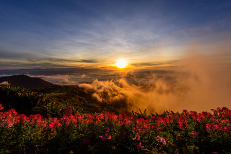 高山的雾海