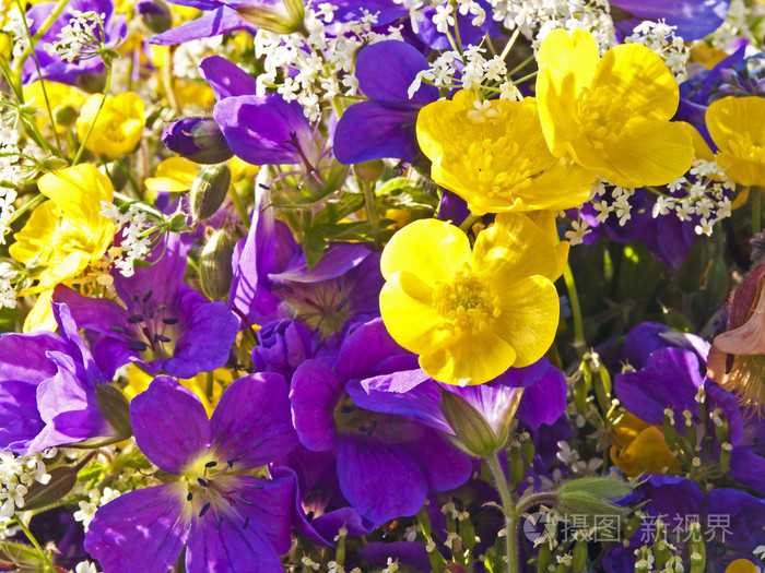 花( flower的名词复数 ) 花朵 开花植物 精华