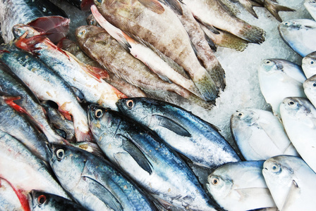新鲜市场上的许多种类的鱼