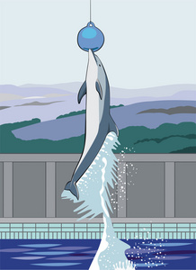 海豚 dolphin的名词复数 