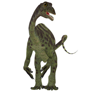 凤尾龙侏罗纪恐龙图片