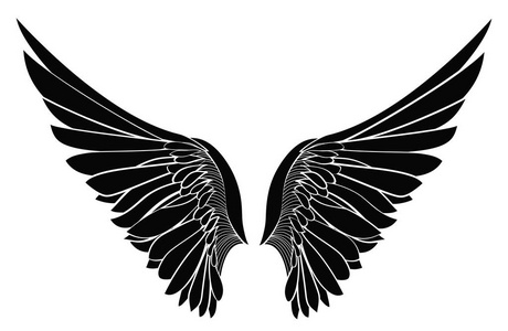 翅膀.白色背景上的矢量图.黑色和白色你是我的守护天使!