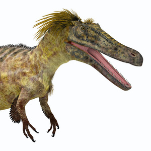 Austroraptor 恐龙头