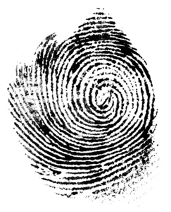 拇指指纹拇指的指纹,个性特征照片