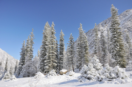 冬天，有山，有毛，有雪