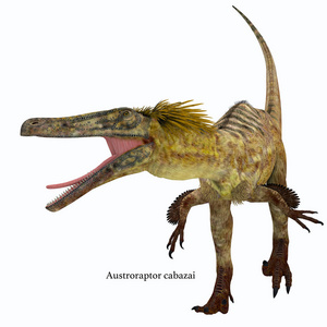 Austroraptor 恐龙在白色