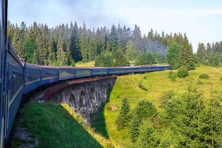 旅游，休息。查看从火车窗口交火车 性质和树木。水平框架