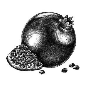 绘图的石榴图片