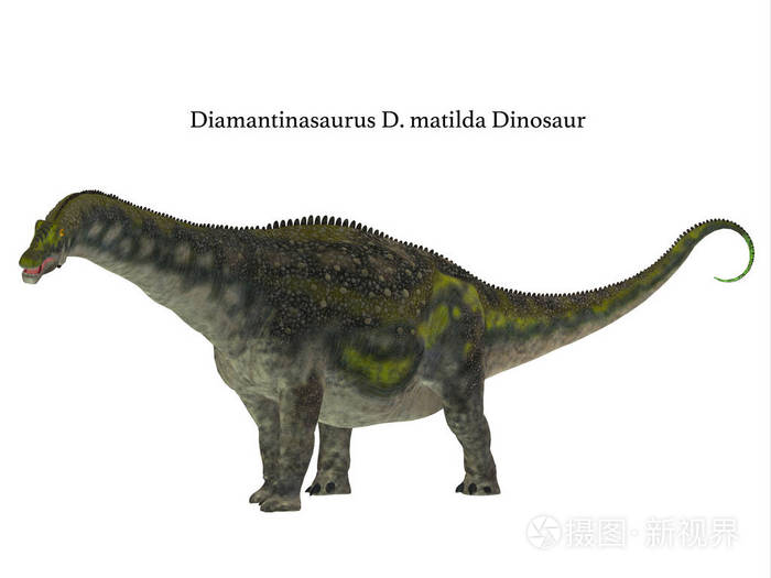 diamantinasaurus图片