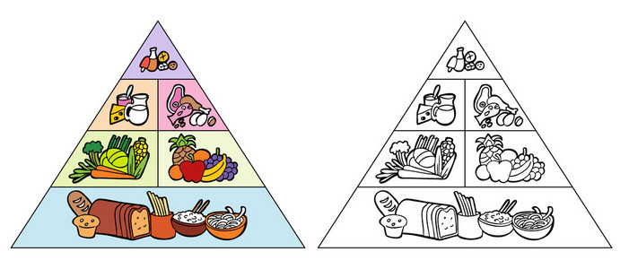 卡通食物金字塔照片