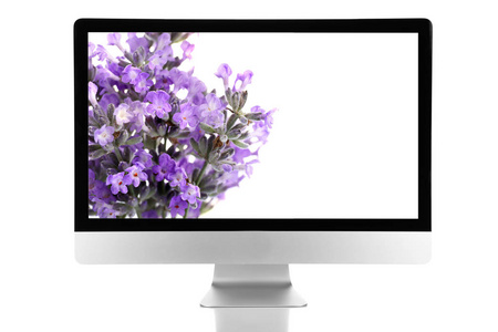 计算机显示屏幕上美丽的鲜花