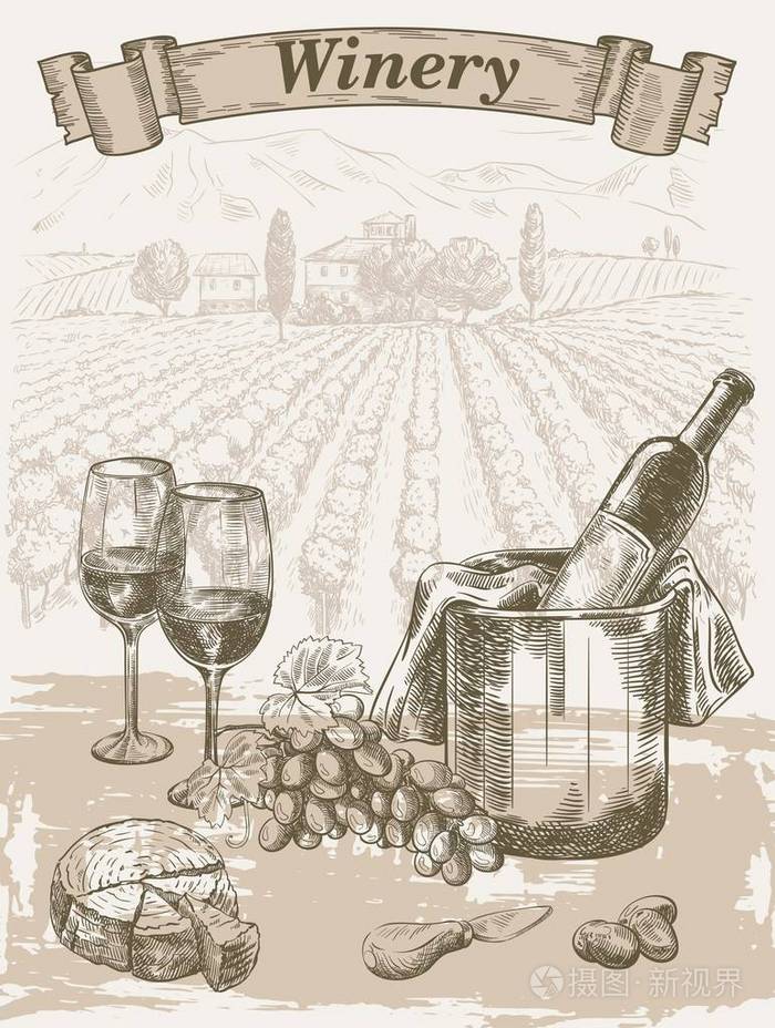 一瓶红葡萄酒的葡萄园背景插画-正版商用图片01ldpq-摄图新视界