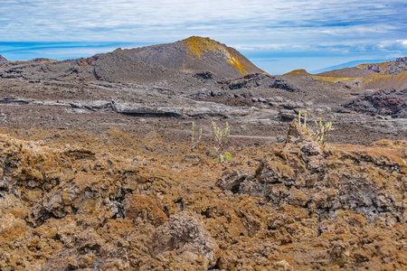 黑锯加拉帕戈斯火山赤道