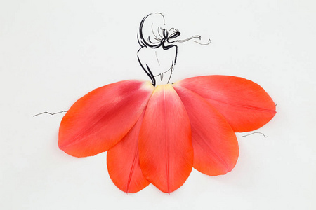 手绘花瓣摄影图