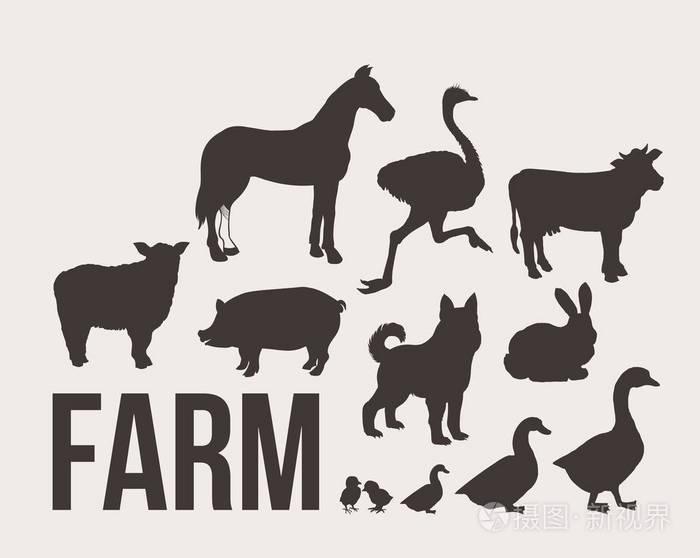 农场动物牲畜剪影