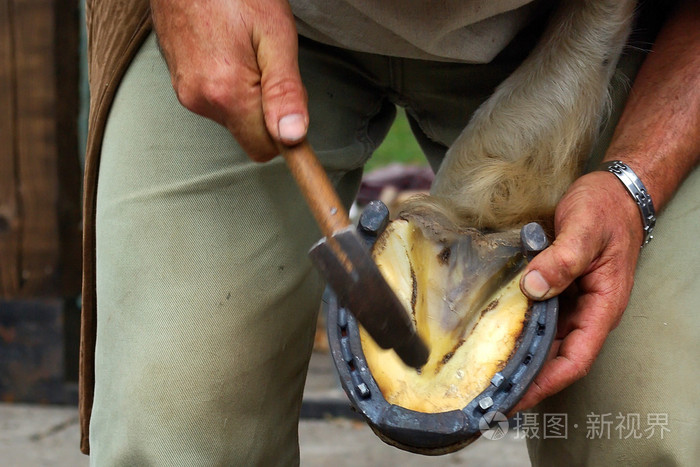 马蹄铁马蹄形的东西