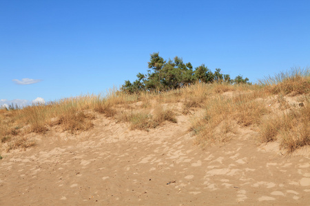 沙丘 sand dune的名词复数  砂丘