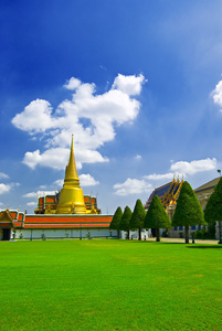 扇形棕榈细纤维 Bangkok 曼谷泰国首都