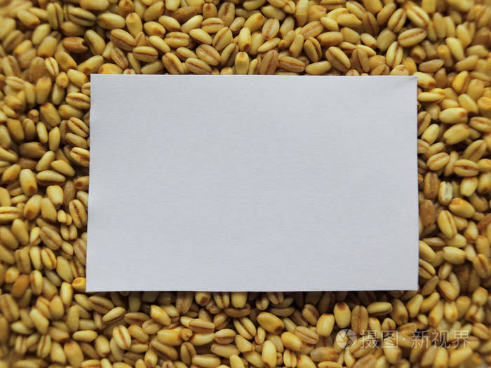 特写的白色标签上堆的原料小麦背景