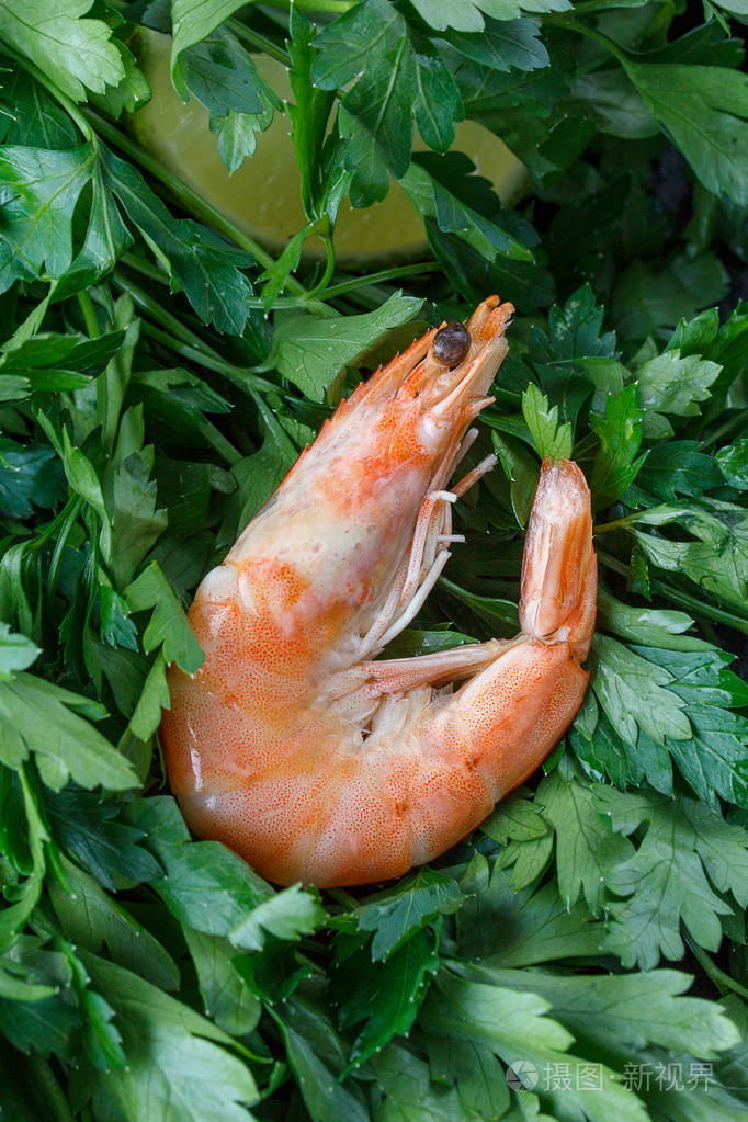 在绿色的虾一个生虾躺在绿色的香菜生虾宏观