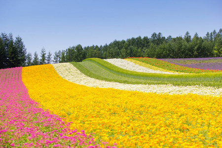 北海道图片 北海道素材 北海道插画 摄图新视界 北海道图片 北海道素材 北海道插画 摄图新视界