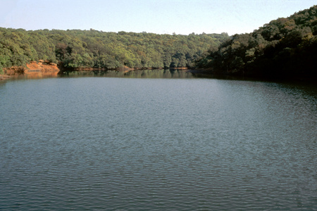 湖泊和树叶