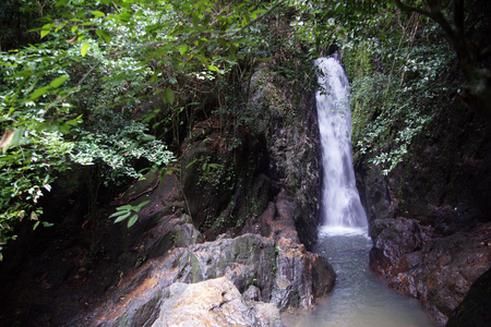 雨林中的瀑布。 普吉岛。 泰国